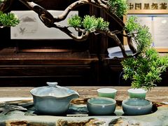 -古今茶语·峨眉山有机茶体验馆