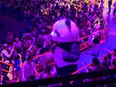 -俄罗斯国家大马戏团