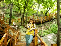 -大岭沟猕猴桃谷风景区