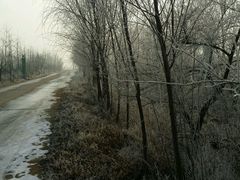沿途路上-大连步云山老汤度假山庄