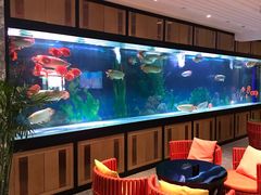 -弘安丽水温泉酒店