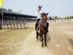 -南国桃园旅游度假区