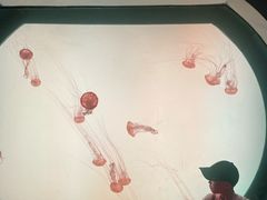 -沈阳海洋探索中心