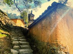 -杨家堂村