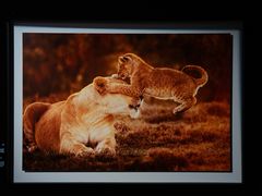 -罗红摄影艺术馆