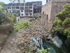 -苏州吴宫泛太平洋酒店