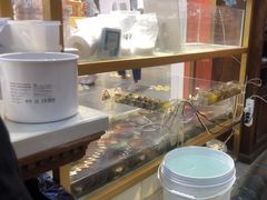 -十八字金银饰·拼豆·开蚌手工体验团建(君太百货店)