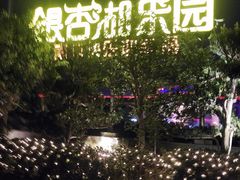 -南京银杏湖乐园