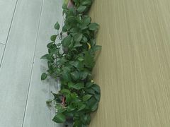 -西安小天鹅艺术团(金花路校区)
