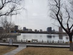 -莲花池公园
