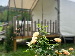 -黄陂区野村谷景区