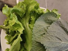 -尚宴牛特鲜自助(太原街万达店)