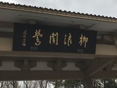 -柳浪闻莺公园