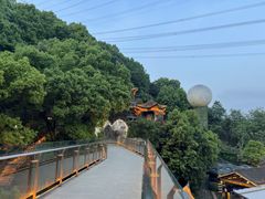 -巴倒烫陆派重庆火锅(南山店)