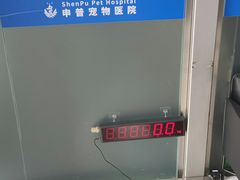 -申普宠物医院·心脏介入·心血管微创(总院)