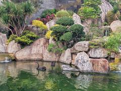 -南宁荔园维景国际大酒店·荔园中餐厅