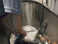 -PETKIT 小佩宠物·低压洗护·美容·寄养(安远店)