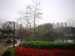-重庆彩云湖湿地公园