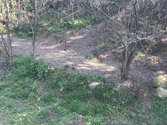 -青岛森林野生动物世界