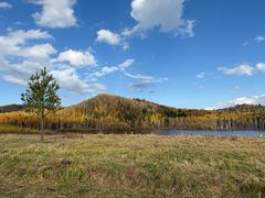 -五营红松林海景区