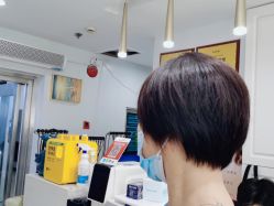 -镁连社·美联社