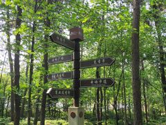 -铁山坪森林公园