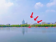 -莲花池公园