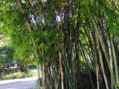 -晓港公园