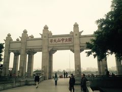 -中山大学学者灵芝(园南路店)