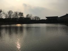 -溱湖国家湿地公园