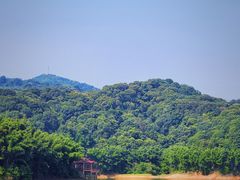 -广州市帽峰山景区