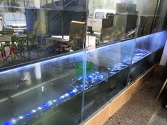 -海之鲜大排档(东山海鲜金銮湾店)