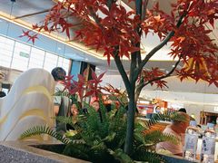 -汉阳廷自助烤肉(嘉禾金铂天地店)