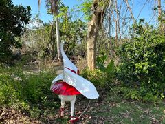 -东寨港红树林旅游区