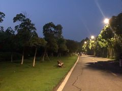 -艾溪湖湿地公园