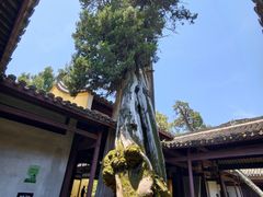 -太平天国侍王府