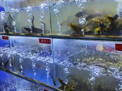 水产区-石锅苗苗鱼(武汉首店)