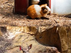 -汕头蓝水星欢乐世界