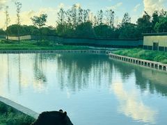 -上海野生动物园