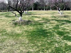 -瀛洲公园