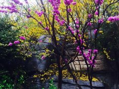 -齐汇维景大酒店游泳馆(山东政协大厦齐汇维景)