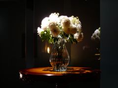 -小火花·干式熟成牛排馆Spark SteakHouse(剑桥郡店)