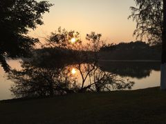 -松山湖南湖湾露营营地