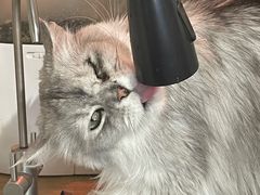 -平行世界·猫咖(首经贸店)