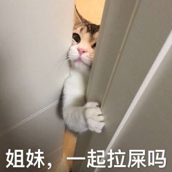 -热发型