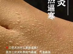 -鹿栖(佛山季华园店)