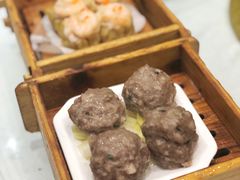 陈皮香茜牛肉丸-鹅城