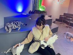 -极木²邸 人与宠物·互动社区