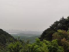 -韬光茶庵