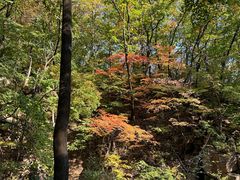 -三块石国家森林公园